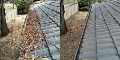 Professional Gutter Cleaning in Ringwood East